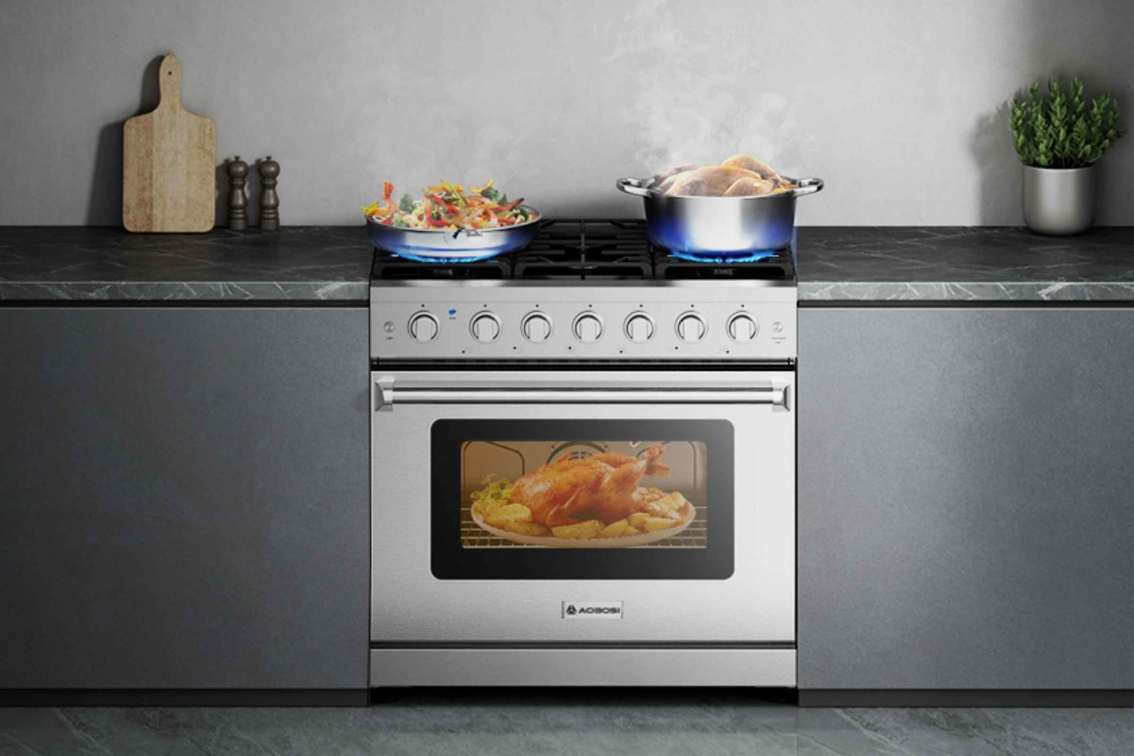 AAOBOSI 36 Inch Gas Range Oven
