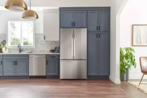 LG LRFLC2706S Review – 27 cu. ft. Smart Counter-Depth MAX™ French Door Refrigerator: Is It Good? Is It Worth It? Complete Review with Pros and Cons 40 LG LRFLC2706S
