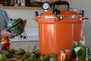 All American 21-1/2-Quart Pressure Cooker Canner Review – Is It Really Worth It? Full Analysis, Pros & Cons Revealed 38 All American 21-1/2-Quart Pressure Cooker